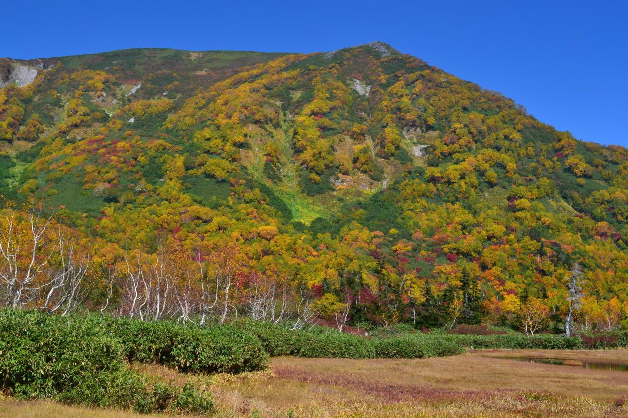 Hakuba Mominoki Hotel Экстерьер фото